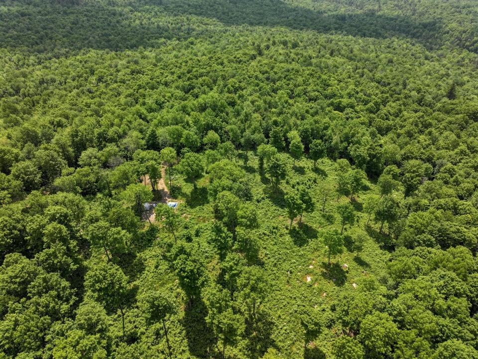 DJI_20250611133234_0670_D-2 (Copy) DJI_20250611133234_0670_D-2 (Copy)