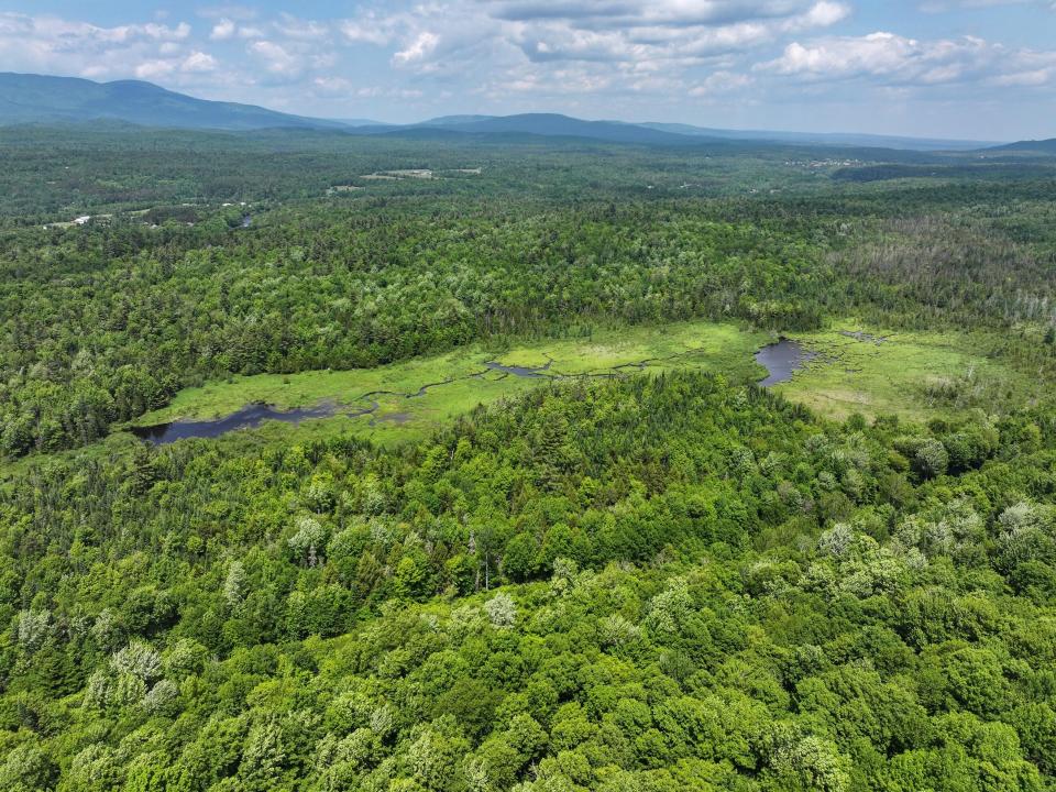 DJI_20250611133222_0668_D-2 (Copy) DJI_20250611133222_0668_D-2 (Copy)