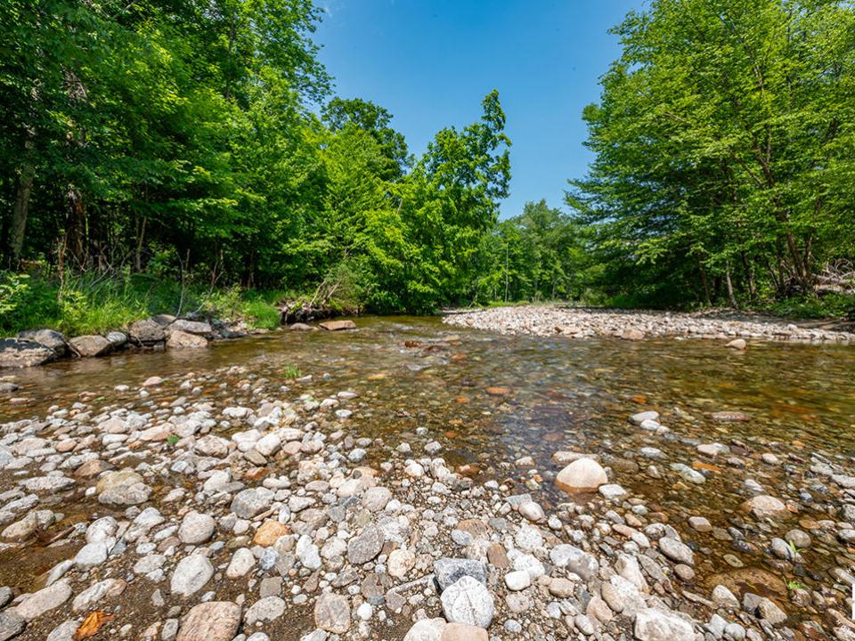 RanchInNewRussia_BoquetRiver_M