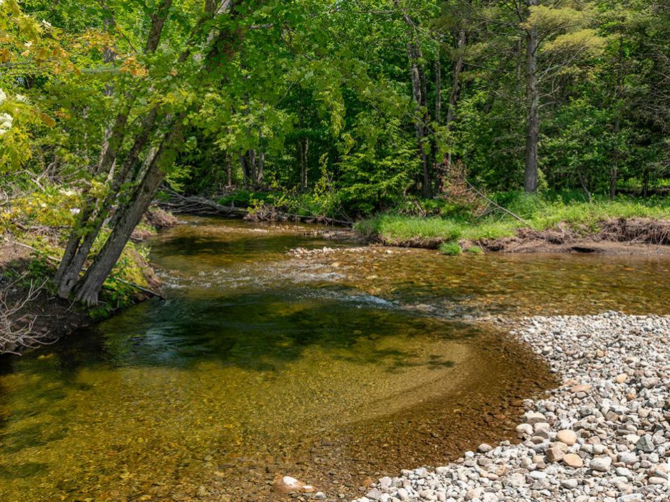 RanchInNewRussia_BoquetRiver_R