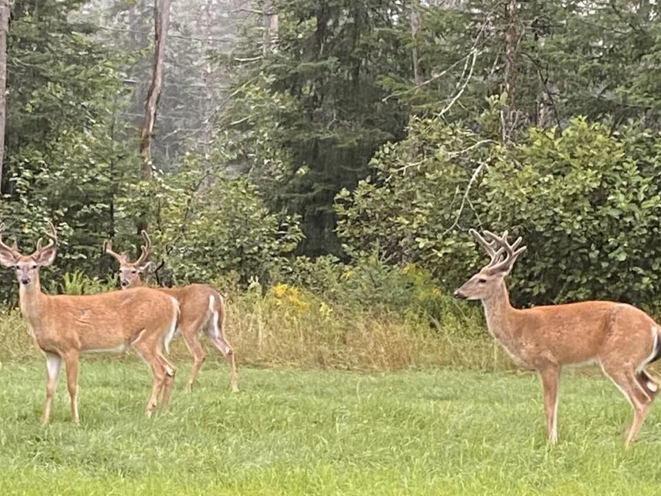 572