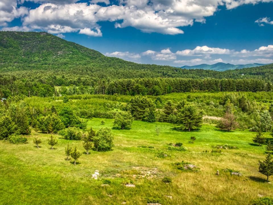 DJI_20250612143622_0198_D
