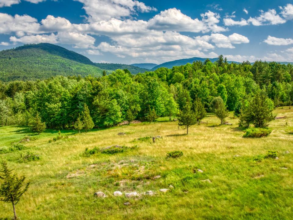 DJI_20250612143636_0203_D