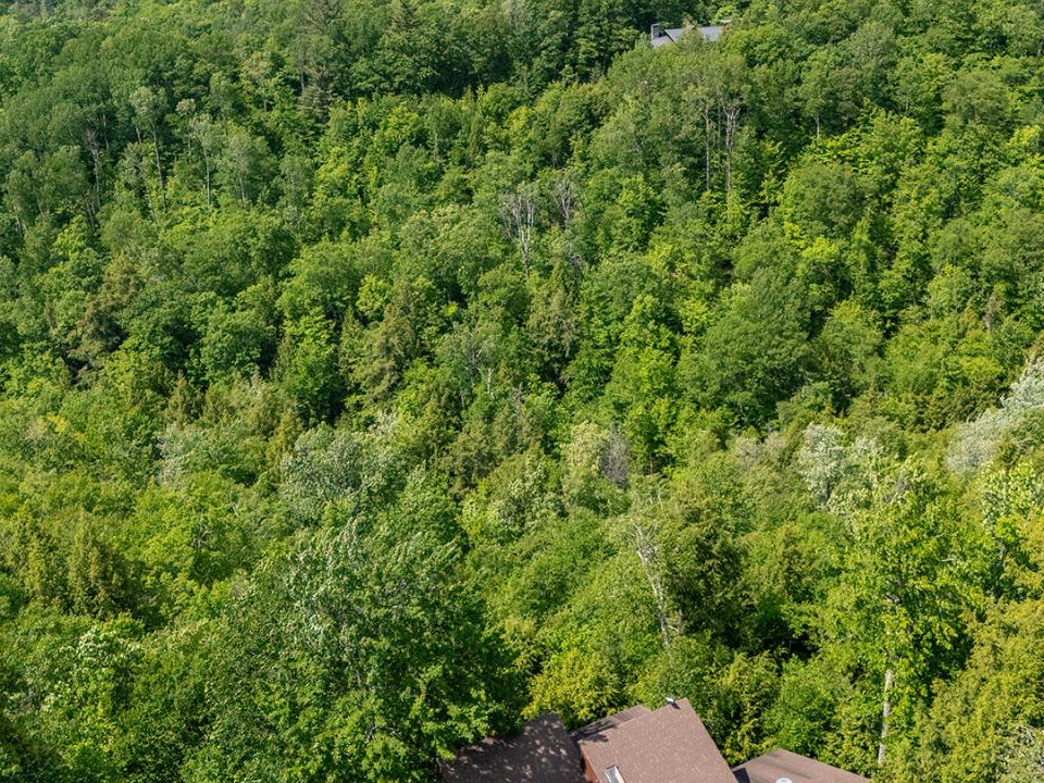 HomeOnJacksonRoadInKeene_A_Exterior_Mtn_