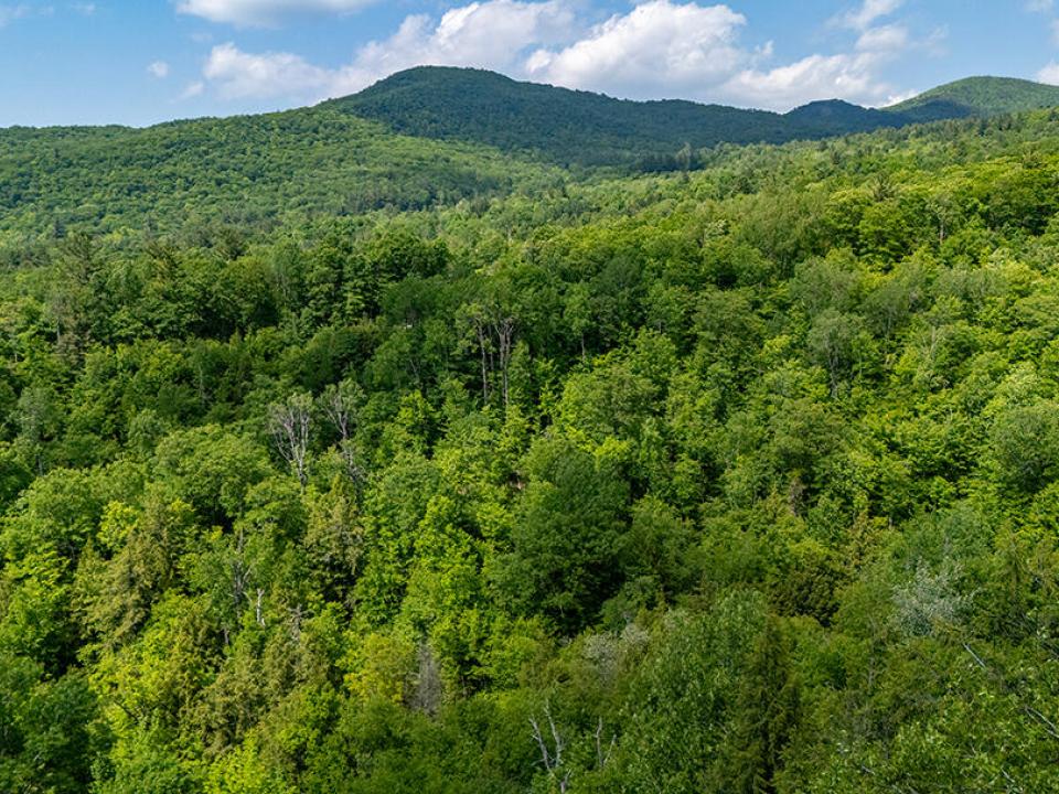 HomeOnJacksonRoadInKeene_A_View_R