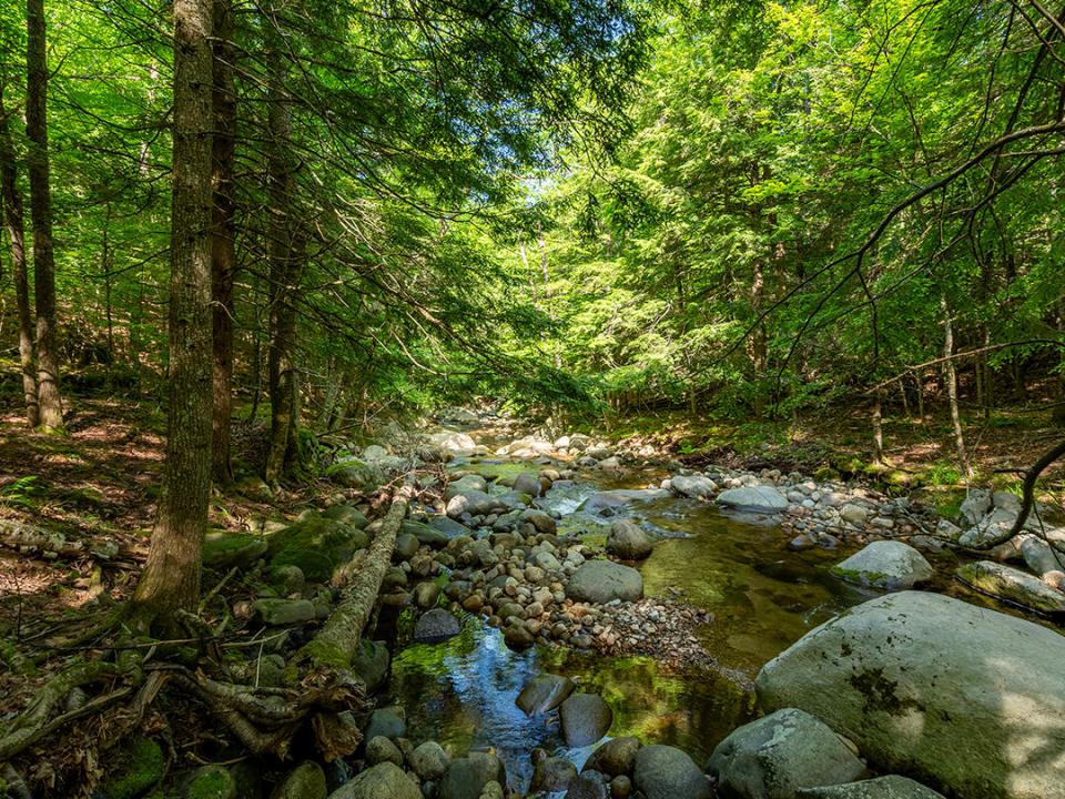 TheHighlands_GulfBrook_Downstream_V