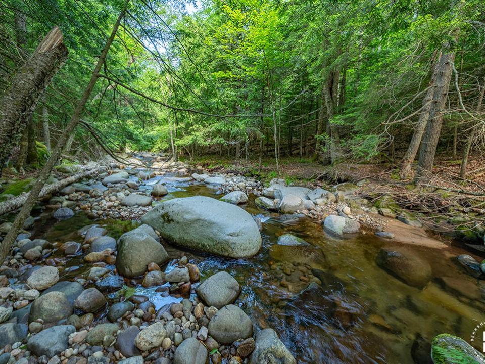 TheHighlands_GulfBrook_Downstream