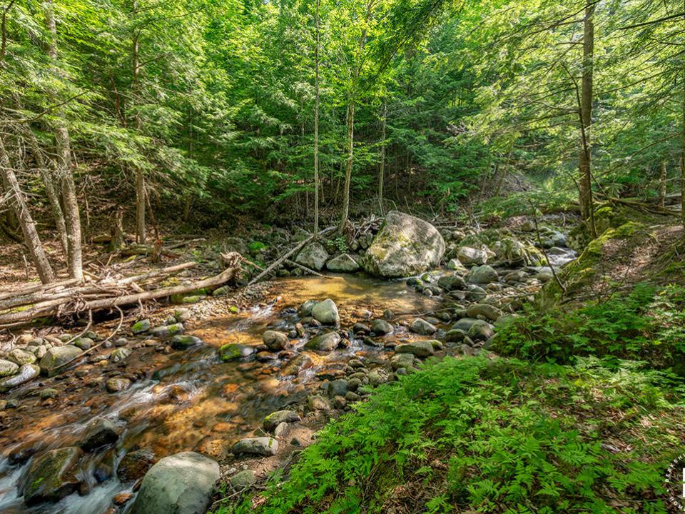 TheHighlands_GulfBrook_PooledArea_Flowin