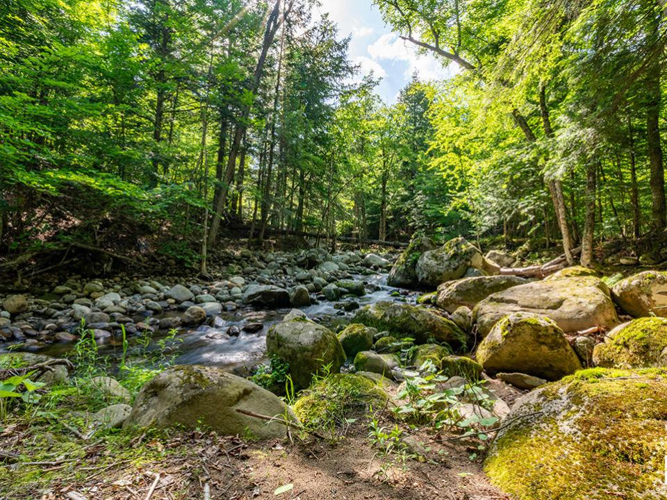 TheHighlands_GulfBrook_Upstream_H