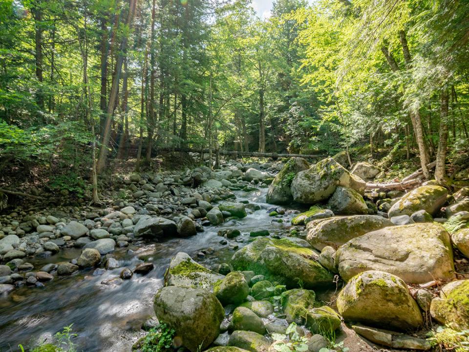 TheHighlands_GulfBrook_Upstream_V