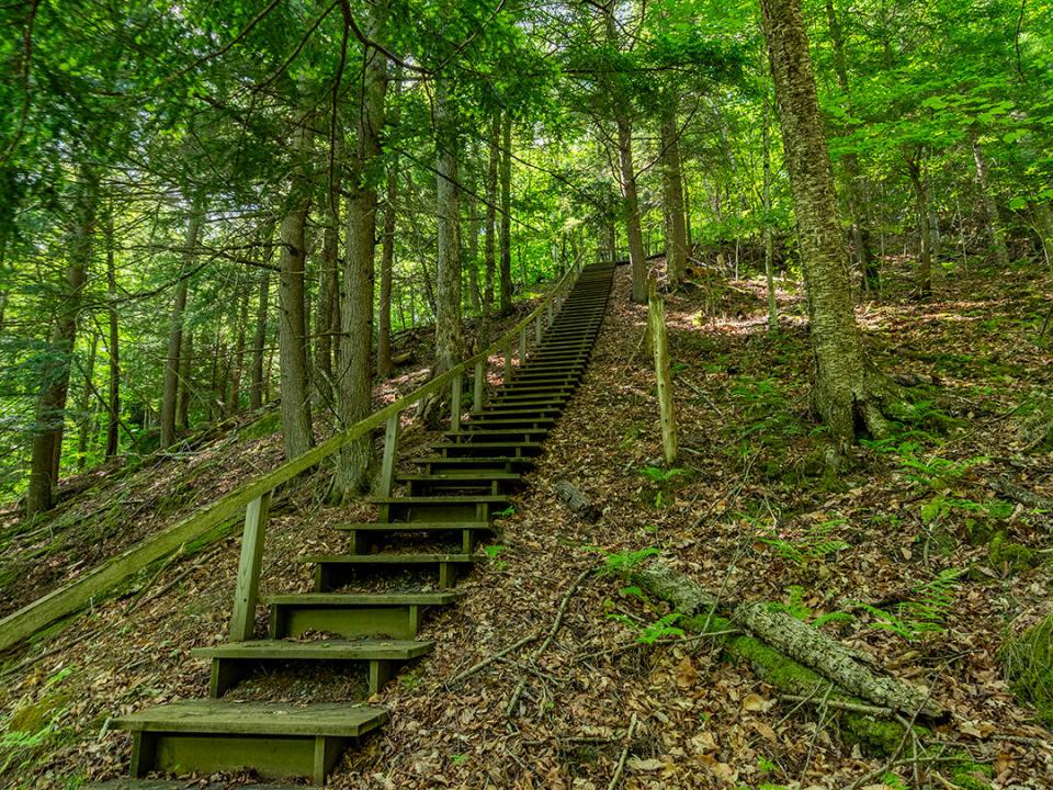 TheHighlands_Stairway_From_Bottom