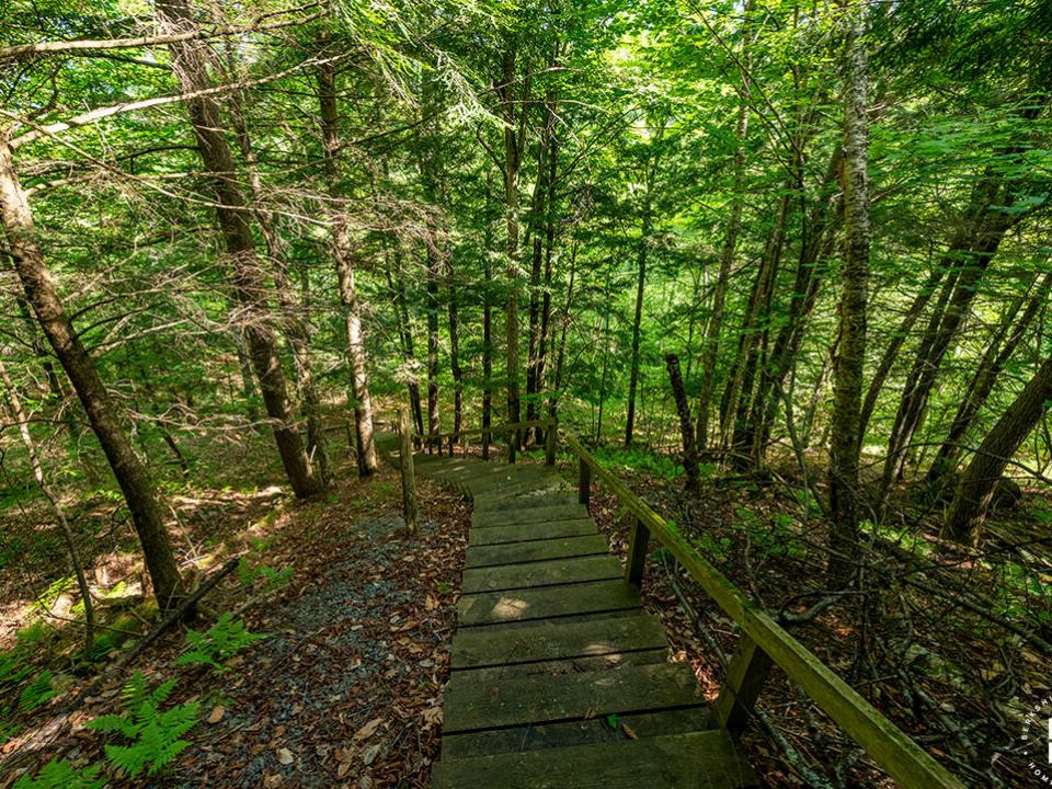 TheHighlands_Stairway