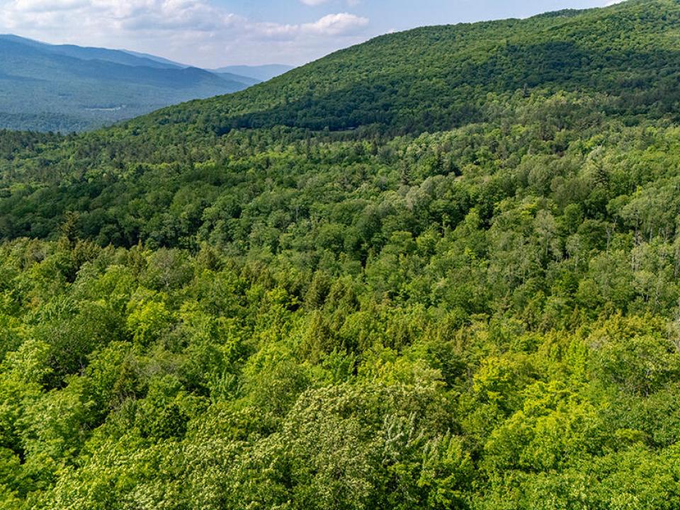 LandOnJacksonInKeene_A_Land_MTN