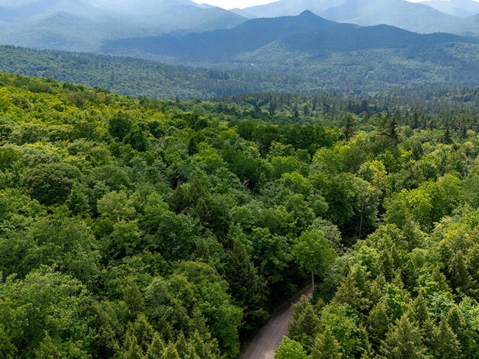 LandOnJacksonInKeene_A_Land_Road_MTN