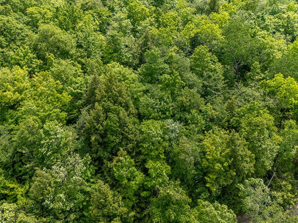 LandOnJacksonInKeene_A_Land_Side