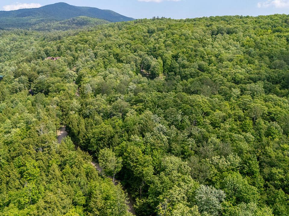 LandOnJacksonInKeene_A_Land_Up_Hill