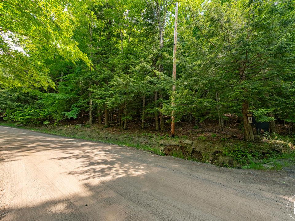 LandOnJacksonInKeene_Land_MooseWay