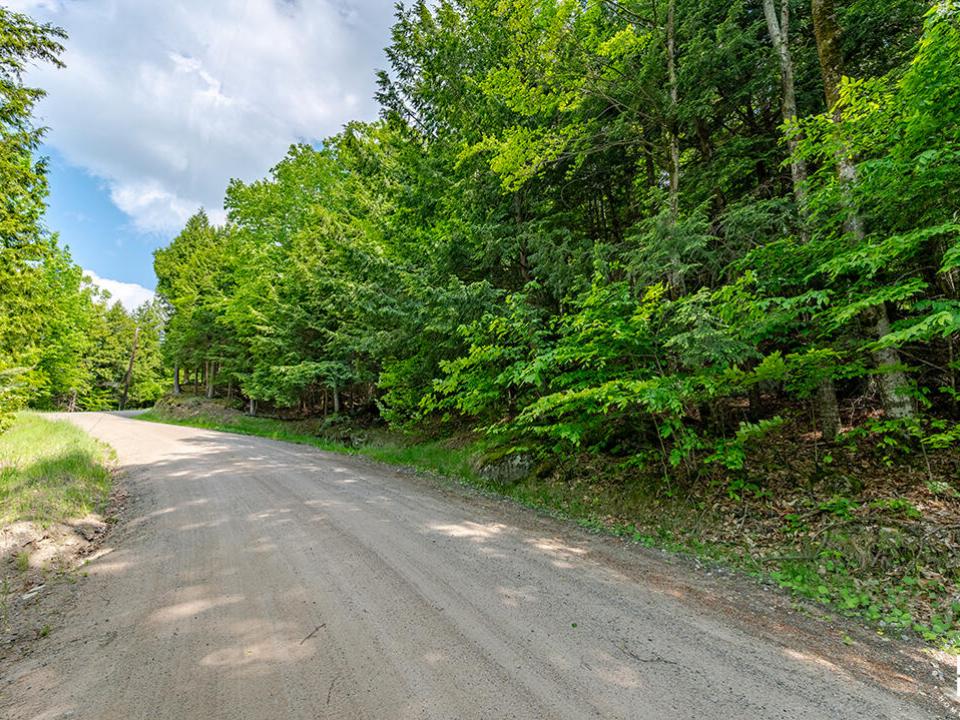 LandOnJacksonInKeene_Land