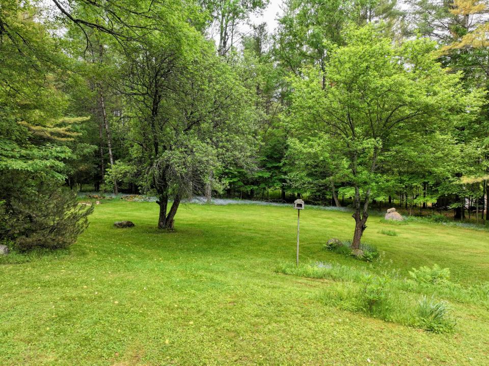DJI_20250617100645_0011_D-2 (Copy)