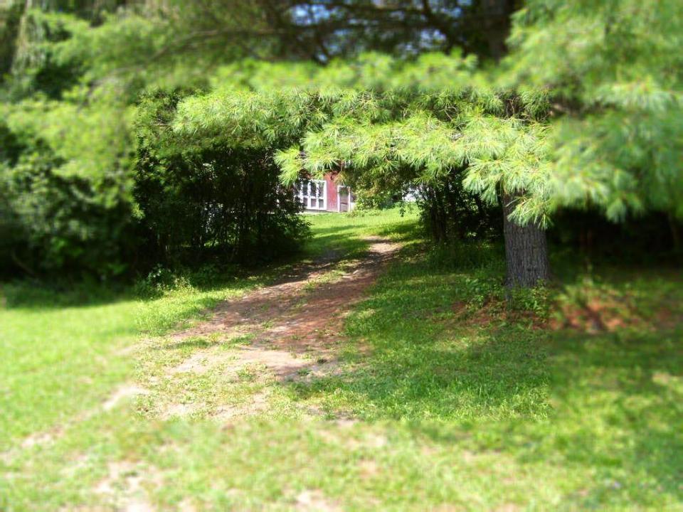 Back Driveway1