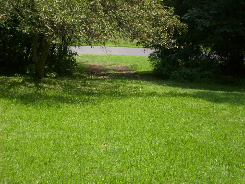 Back Driveway2