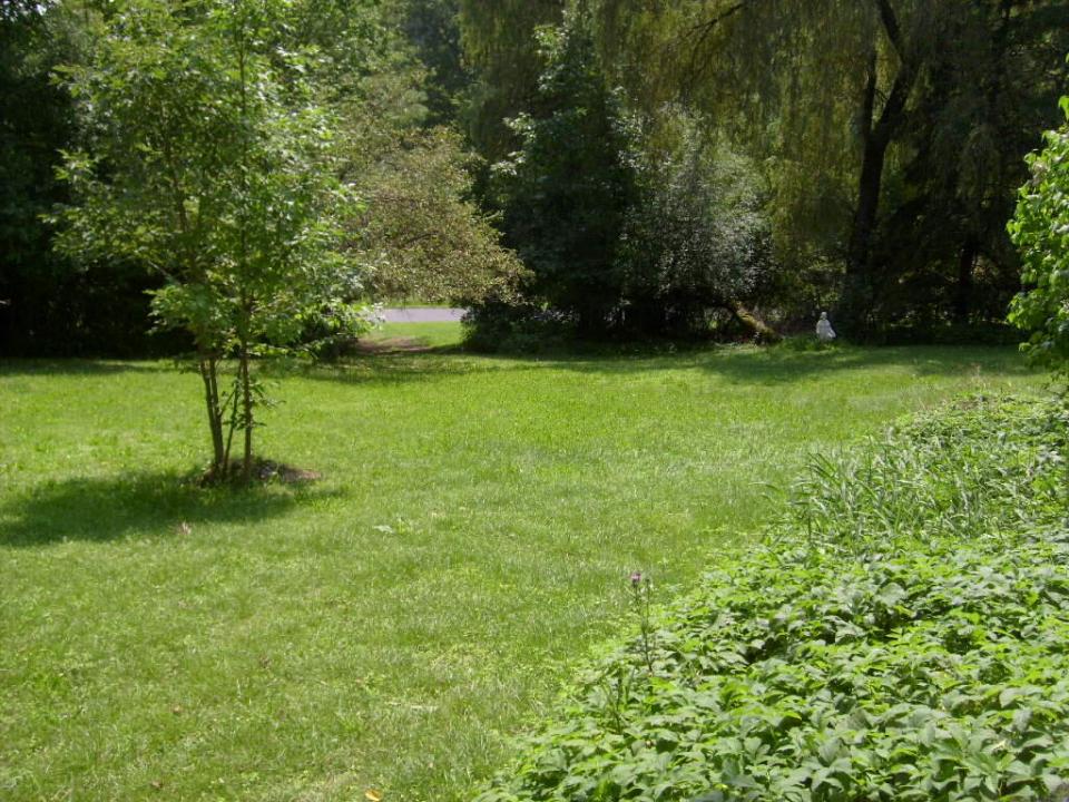 Side Yard