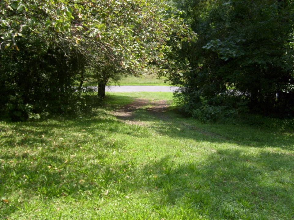 Side Yard2