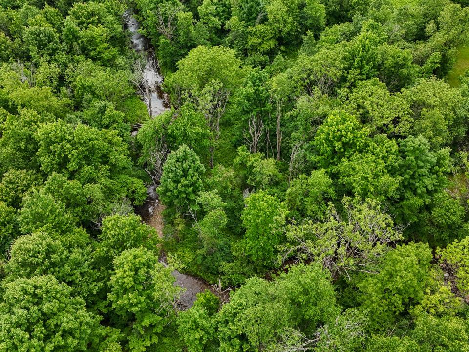 DJI_20250611120351_0084_D