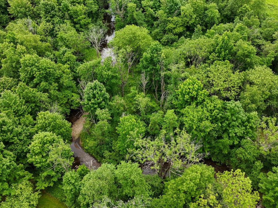 DJI_20250611120344_0083_D