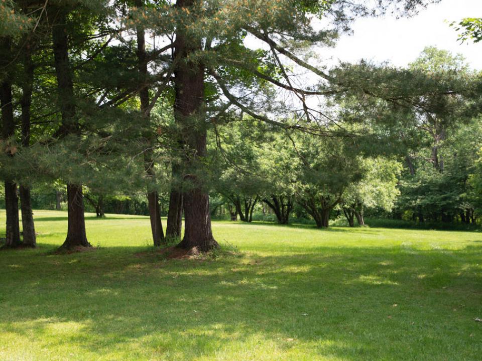KJM_5327