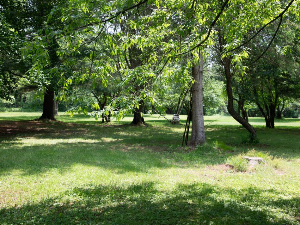 KJM_5352