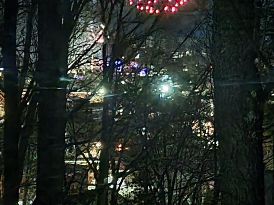 CozySaranacLakeCottage_O_Firework_R_Tree