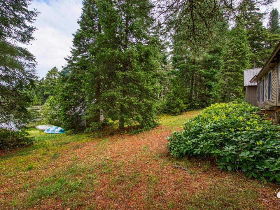 Side Yard