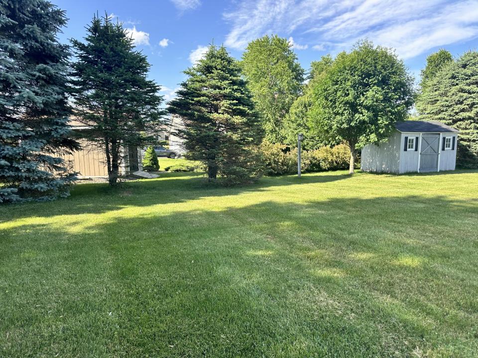 Backyard and Shed