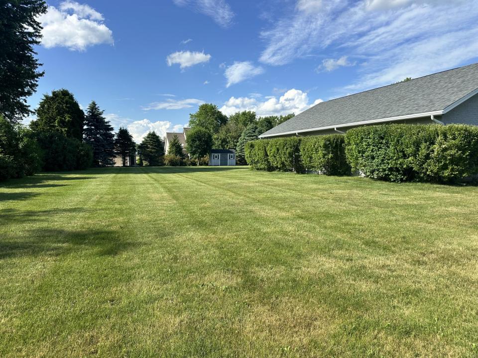 Side Lawn