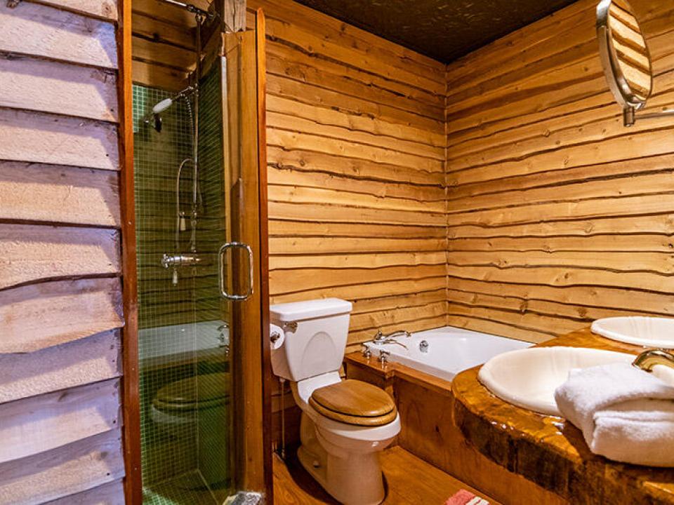 RedHeron_Bathroom_Off_Bedroom1