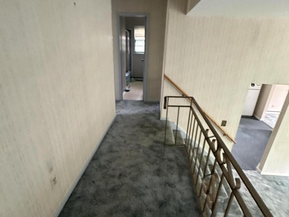 image_67182337