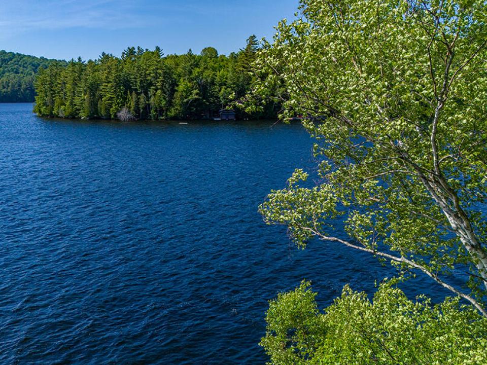 AdkCompoundOnUpperSaranac_A_RoofView_R