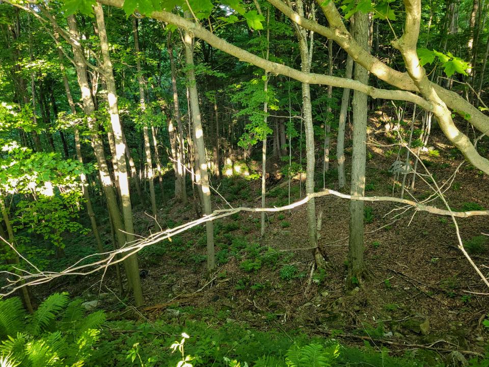 healy slope2