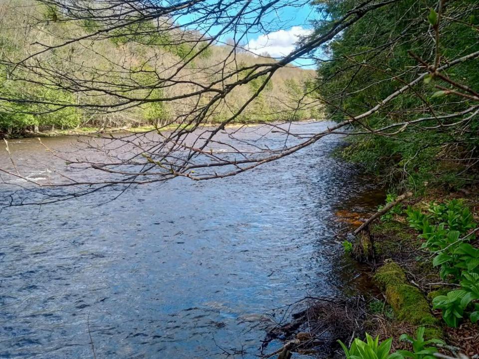 healy water2