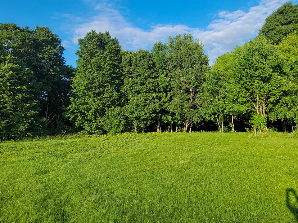 healy lawn
