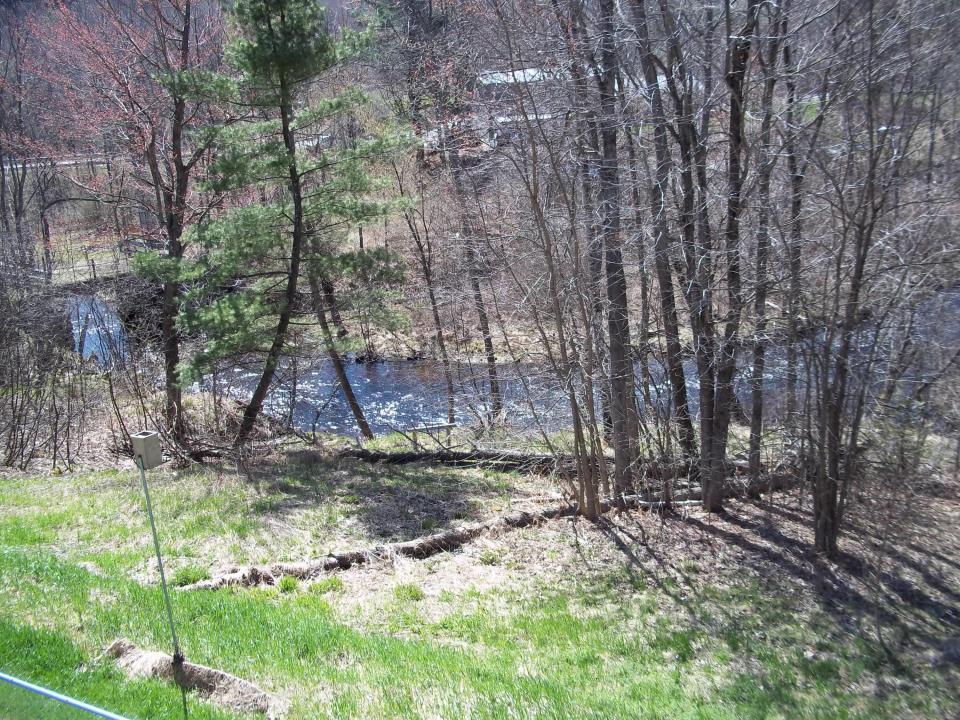Little Salmon River Pic