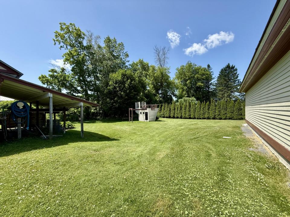 Back yard