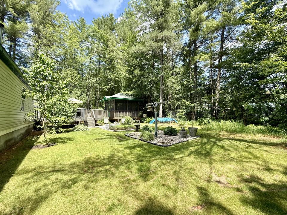 Back yard