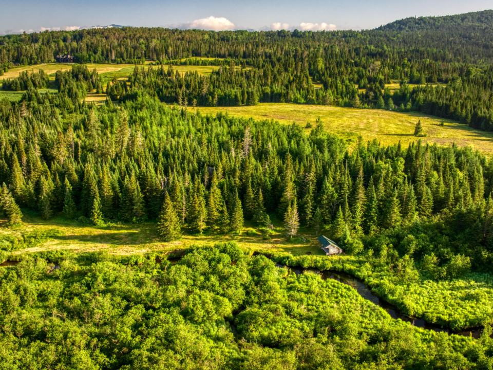 DJI_20250621064118_0048_D