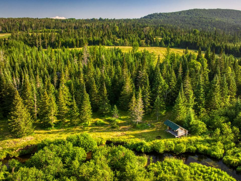 DJI_20250621064134_0053_D
