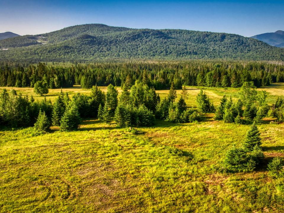 DJI_20250621064928_0133_D