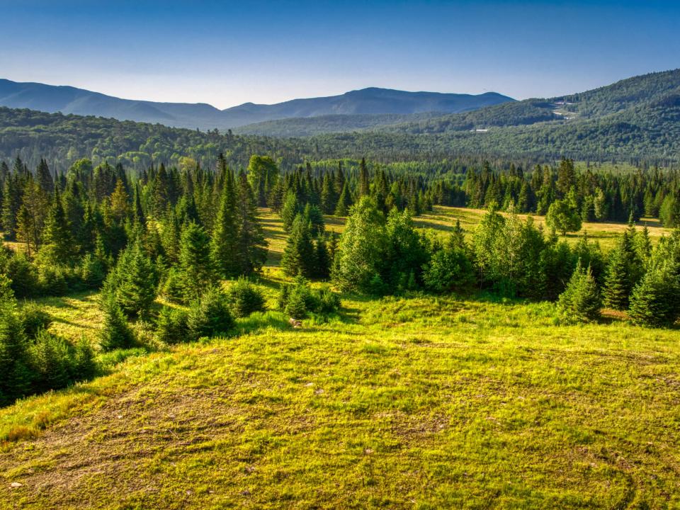 DJI_20250621064944_0143_D