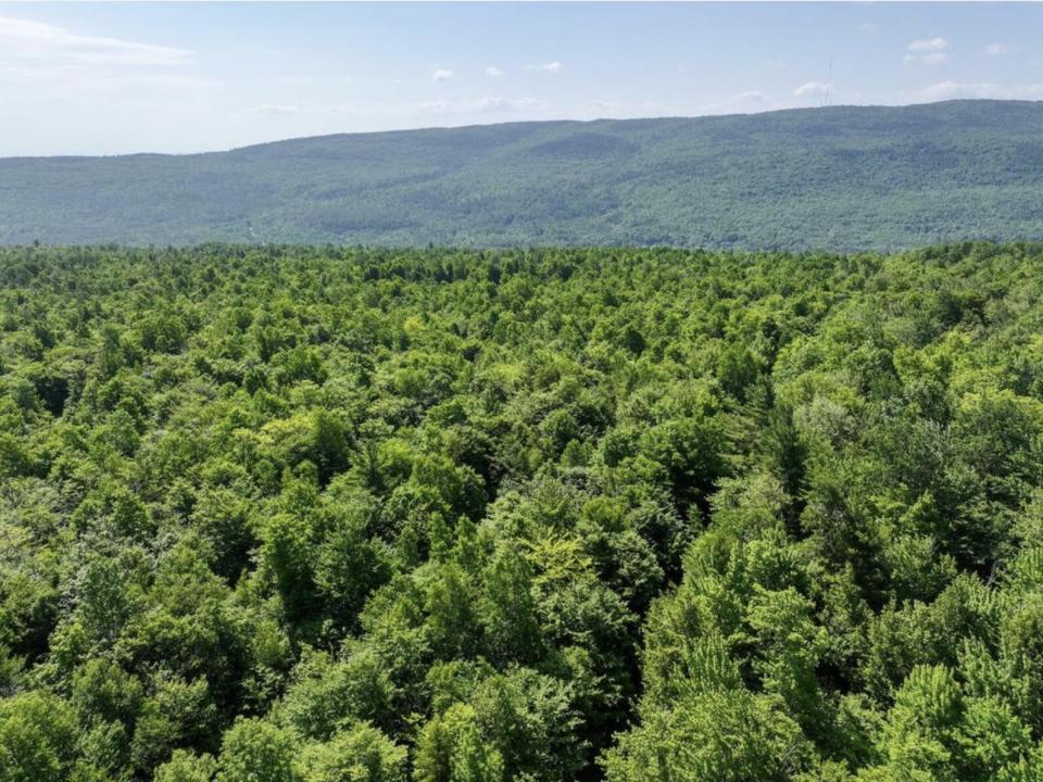 Screenshot 2025-06-26 at 8.13.12pm