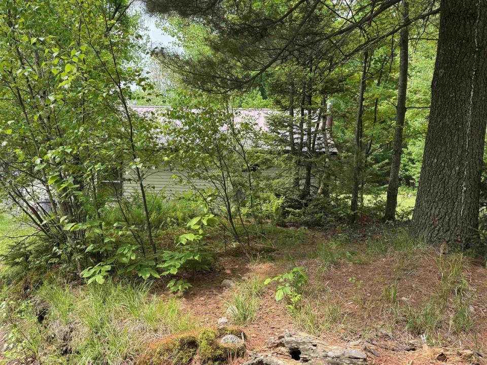 51508-00f6fe2e-5cf8-4bbb-b174-a7b15ce5e2